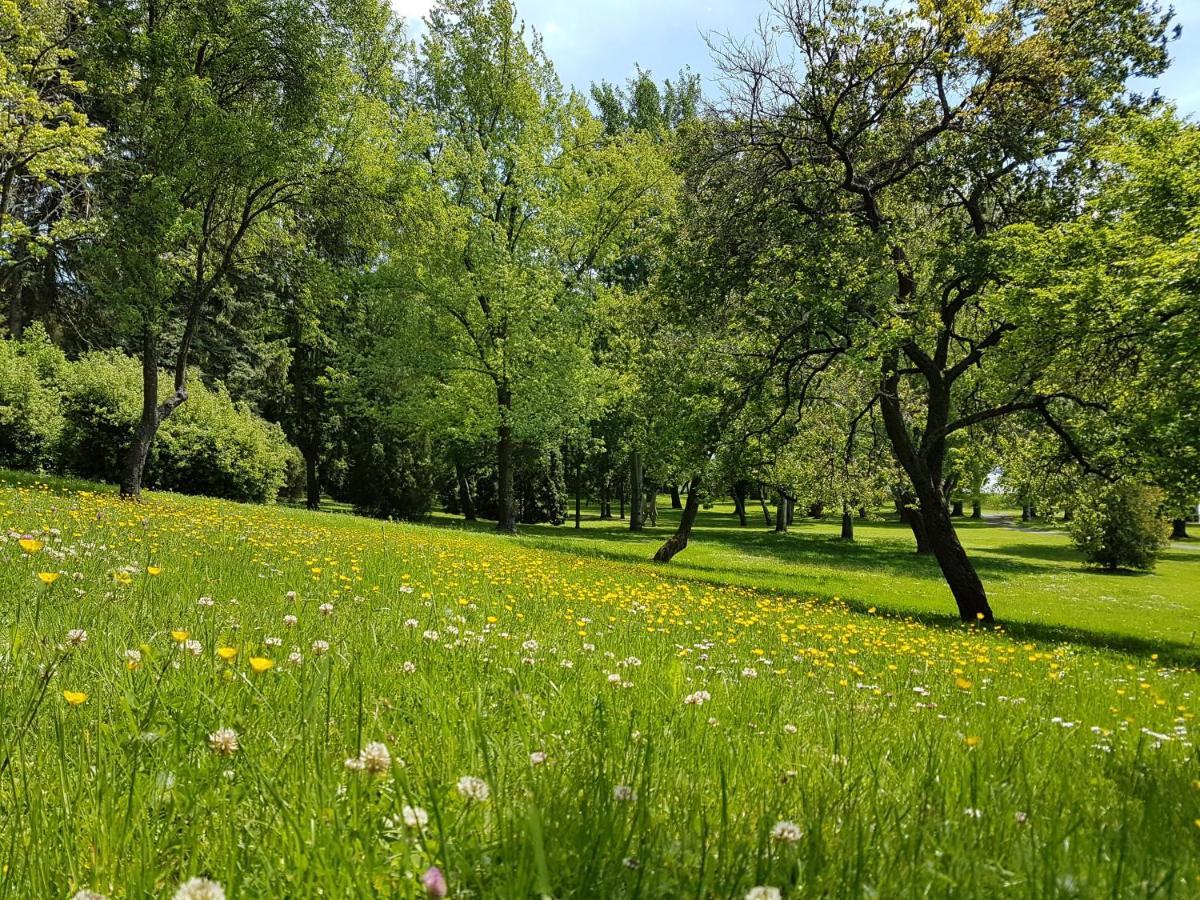Hotel Zánka Vízparti Üdülő Esterno foto